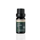 Bioterra Organik Avokado Yağı Soğuk Pres - Cildi Nemlendirmeye ve Yenilenmeyi Desteklemeye Yardımcı - Saç ve Tırnak Bakımı - E ve D Vitamini İçeren - 50 ml
