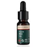 Bioterra Organik Hint Yağı – Saç Uzatma, Kepek Karşıtı, Güçlendirici & Parlatıcı Bakım | Cilt Onarıcı, Anti-Bakteriyel, Tırnak ve Tırnak Eti Besleyici Doğal Yağ