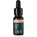 Bioterra Organik Hint Yağı – Saç Uzatma, Kepek Karşıtı, Güçlendirici & Parlatıcı Bakım