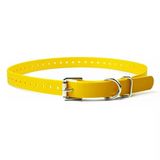 Biothane Köpek Tasması, Su Geçirmez, Kokusuz, Metal Toka Ve D Yüzük, Özel Uyum İçin Ayarlanabilir, Havalı Ve Rahat, Küçük, Orta Veya Büyük Köpekler İçin, 7,7 Cm, Sarı
