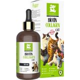 Biotin Collagen For Cat Nanbell - Kediler Için Biotin ve Kolajen Desteği