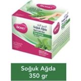 BIOWEET Biowet Soğuk Ağda Nane Kokulu 350ml