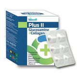 Biowell Plus II Glucosamine Collagen 60 Kapsül