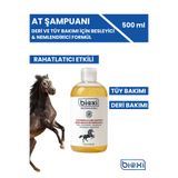 Bioxi Deri ve Tüy Bakımı için Besleyici, Nemlendirici Formül, Argan İçerikli At Şampuanı 500 ml
