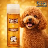 Bioxi Gold & Brown Pure Shampoo (Kedi & Köpek Kahverengi Tüyler Için Şampuan) 200 ml - Altın