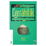 Bir İstanbul Tarikatı-Cerrahilik - Mehmet Cemal Öztürk