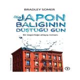 Bir Japon Balığının Düştüğü Gün - Hayır