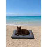 Bir Pati İzi Kedi ve Köpek Yer Minderi Outdoor Su Geçirmez Üst Kalite Tüy ve Leke Tutmaz %100 Boncuk Elyaf Kaydırmaz Taban Kedi ve Köpek Yatağı - Gri