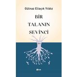 Bir Talanın Sevinci Şule Yayınları