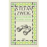 Bir Zanaatkarla Beklenmedik Karşılaşma stefan zweig