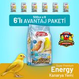 Bird Food Energy 6x500 gr Kanarya Yemi