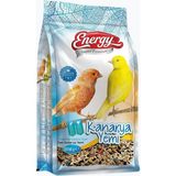 Bird Food Energy Energy Kanarya Yemi 500 g Tanecikli İçerik ile Zenginleştirilmiş Besleyici Kuş Yemi