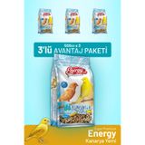 Bird Food Energy Kanarya Yemi 500 G - 3 Adet