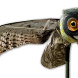 Bird-X Prowler Fake Owl Hareketli Kanat Gerçekçi Kuş Scar, Hawk, Pigeon ve Squirrel Repellent, Veba Deterrent Decoy Siyah Küçük