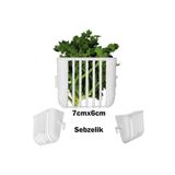 Birdlife Sebzelik 7*6