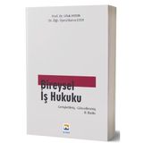 Bireysel İş Hukuku - Genişletilmiş - Güncellenmiş Baskı