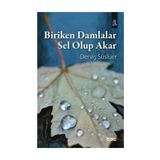 Biriken Damlalar Sel Olup Akar - Derviş Süslüer