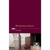 BİRLEŞMEYEN SENTEZ - ALI AKAY