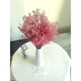 Birlik Cipso Çiçeği Şoklanmış Pembe