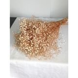 Birlik Cipso Krem Renkli Şoklanmış Doğal Kuru Çiçek Demet A Kalite Kokusuz 50 cm