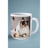 Birman Kedisi Kedi Isimli Kişiye Özel Baskılı Kupa Bardak Model 1