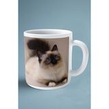Birman Kedisi Kedi Isimli Kişiye Özel Baskılı Kupa Bardak Model 2