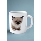 Birman Kedisi Kedi Isimli Kişiye Özel Baskılı Kupa Bardak Model 6
