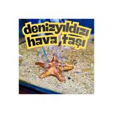 BİRRDESİGN DENİZYILDIZI AKVARYUM HAVA TAŞI