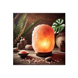 Bisalt Himalaya Tuz Lambası 3-4 kg