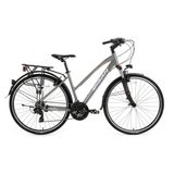 BİSAN 8200 CİTY ŞEHİR BİSİKLETİ 45 CM V 700C 21 VİTES AÇIK METALİK GRİ BEYAZ PEMBE