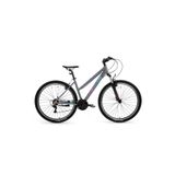 Bisan Athena 48 cm V 29 Jant 21 Vites Metalik Gri Mavi Mor Dağ Bisikleti