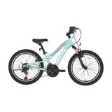Bisan Gazelle Kadın Dağ Bisikleti 30CM V 24 Jant 18 Vites Turkuaz Koyu Pembe - Çok Renkli