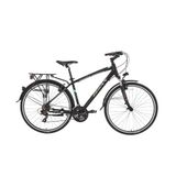 BİSAN TRX 8100 City Şehir Bisikleti 46 Cm Kadro 700C V Fren 21 Vites Mat Siyah Mavi