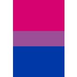 Bisexual Pride Flag Notebook: Bi, LGBTQ+ | 120 Lined Pages, 6"x9" Gloss Finish