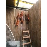 Bişkin Doğal Kamış Hasır Çit 120 cm x 2.5 Metre Balkon Çiti, Hasır Bambu Çit, Bahçe Çiti ve Gölgelik - 120x250