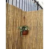 Bişkin Doğal Kamış Hasır Çit 120 cm x 2 Metre Balkon Çiti, Hasır Bambu Çit, Bahçe Çiti ve Gölgelik - 120x200