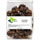 Bitki Diyarı 100 gr Servi Kozalağı