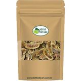 Bitki Diyarı Açlık Otu (Cassia Angustifolia) Senna 25GR - 1 Adet