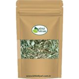 Bitki Diyarı Damar Otu (Folium Plantaginis) 100GR - 1 Adet