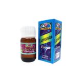 Bitki Diyarı Lavanta Esansı 20ml