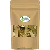 Bitki Diyarı Okaliptus Yaprağı (Eucalyptus Globulus) 1 kg - 1 Adet