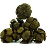Bitki Diyarı Selvi Kozalağı 50 gr - 1 Adet