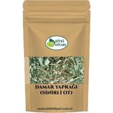 Bitki Diyarı Sinirli Ot (Plantago Lanceolata) Damar Otu 100GR - 1 Adet