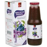 Bitki Diyarı Yaban Mersini Suyu Nektarı 1000 ml Cam Şişe - 1 lt
