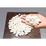 Bitki Kapında Beyaz Dolomit Taşı 1-2cm, Peyzaj Taşı, Dekoratif Akvaryum Taşı, Süs Taşı, Saksı Taşı, Beyaz Taş, Bahçe Taşı - 1 kg - 1 - 2 cm