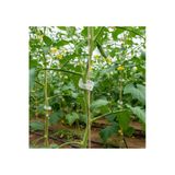Bitki Klipsi - Domates Klipsi 115 Adet 25 Mm Gövde Sarmaşık Bitki Bağlama Kelepçesi