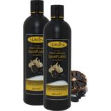 Bitki Özlü Siyah Sarımsak Şampuanı 350 Ml, 2' Li