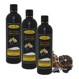 Bitki Özlü Siyah Sarımsak Şampuanı 350 Ml, 3' Li