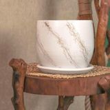 Bitki Tasarımı Beyaz Üzeri Gold Tabaklı Terracota Toprak Saksı Saksılık Salon Çiçeklik 19 Cm