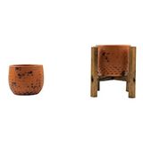 Bitki Tasarımı Ev Dekorasyon Siyah Nokta Desenli Terakota Toprak Saksı Saksılık Salon Çiçeklik İkili Set Ayaksız, 4 Ayaklı 12 Cm